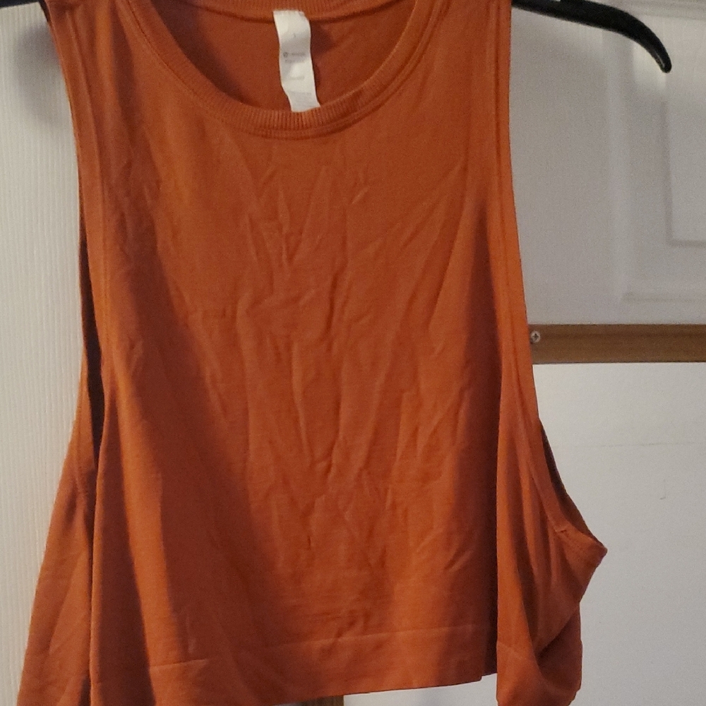 Avocado Crop Top sz Small - Rust